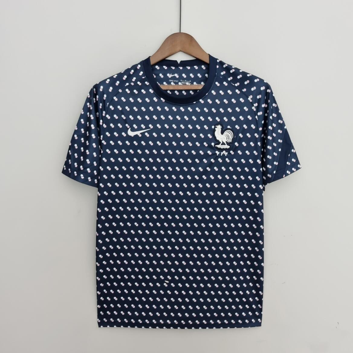 Camiseta France Traje De Entrenamiento 2022