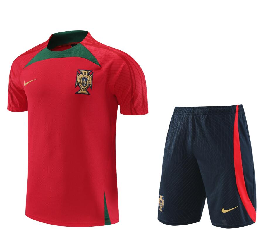 Camiseta Fc Portugal Pre-Match 23/24 + Pantalones