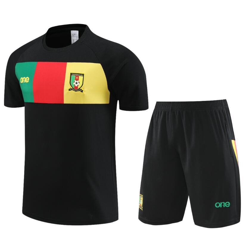 Camiseta Le Coq Sportif Camerún Pre-Match 23/24 + Pantalones