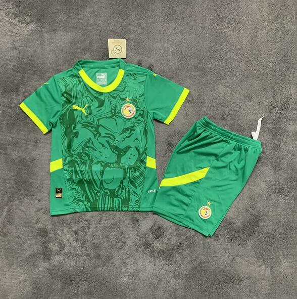 Camiseta Senegal Segunda Equipación 2025 Niño