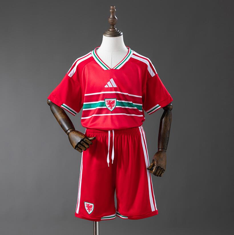 Camiseta GALES Primera Equipación 2026 Niño